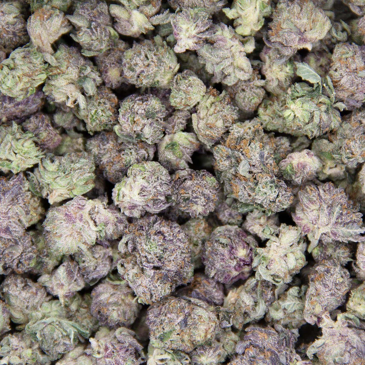 Grease Monkey AAA (Popcorn) - Image 3