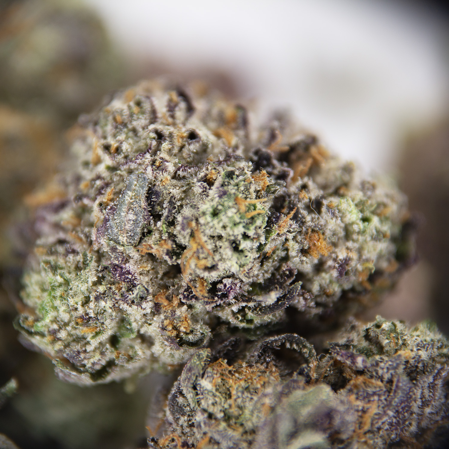 Grease Monkey AAA (Popcorn) - Image 2