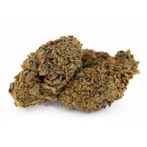 Lemon Stardawg AA