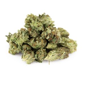 MKU (Mediums) AA