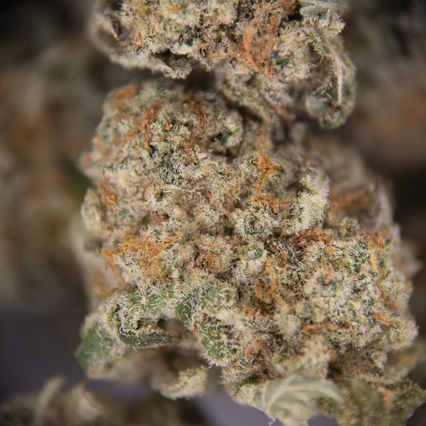 Super Lemon Haze (Popcorn) AAA - Image 2