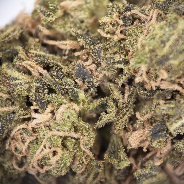 Deadhead OG AA - Image 2
