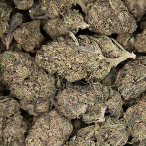 Deadhead OG AA - Image 3