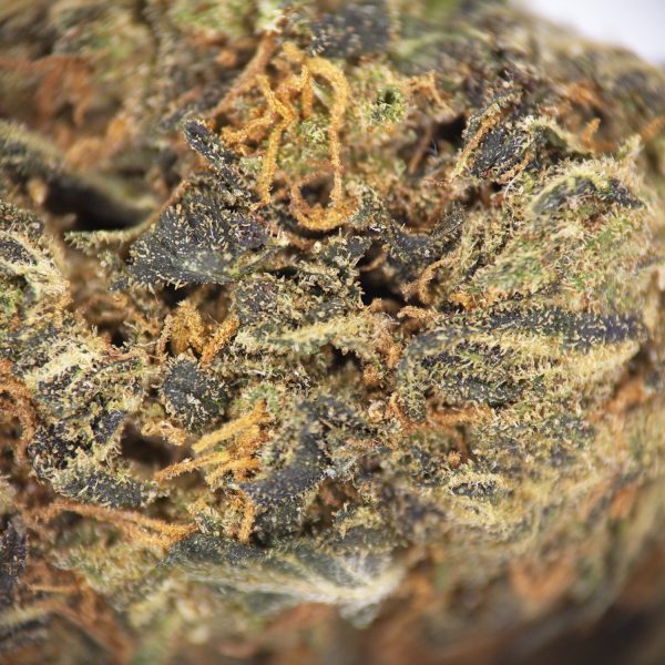 King's Kush AA - Image 2