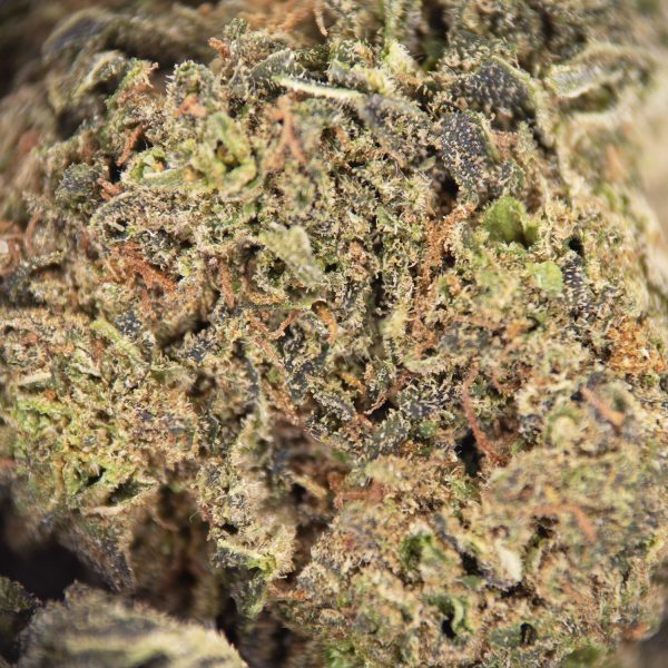 Trainwreck AA - Image 2