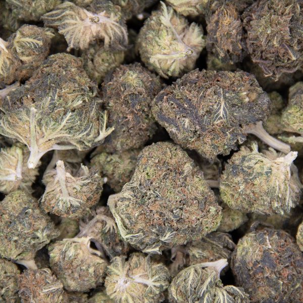 Trainwreck AA - Image 3