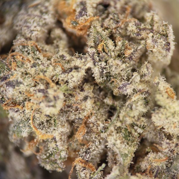 White Widow AAA - Image 2
