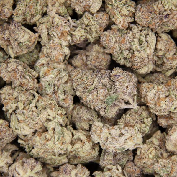 White Widow AAA - Image 3