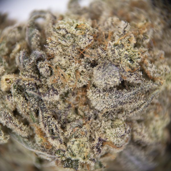 AK-47 AAA- - Image 2