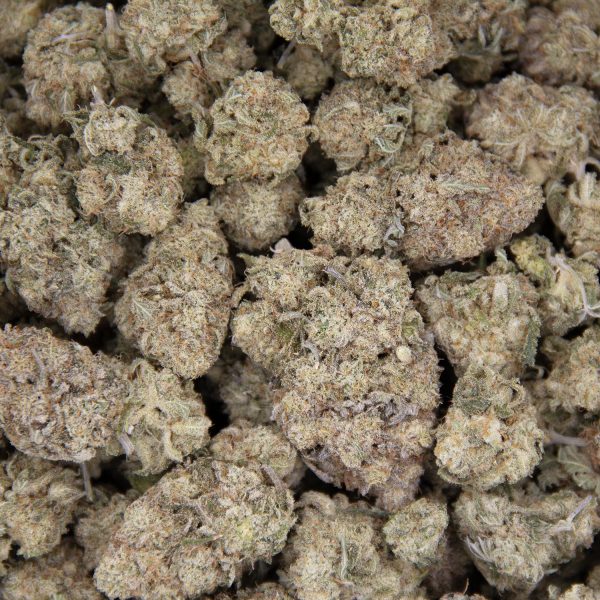 AK-47 AAA- - Image 3