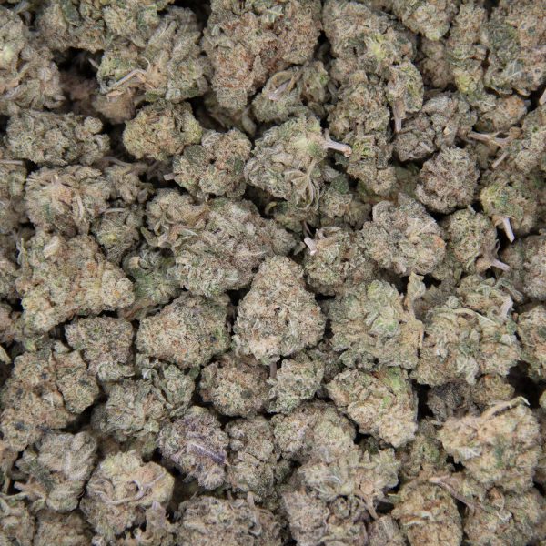 El Chapo (smalls) AA - Image 3