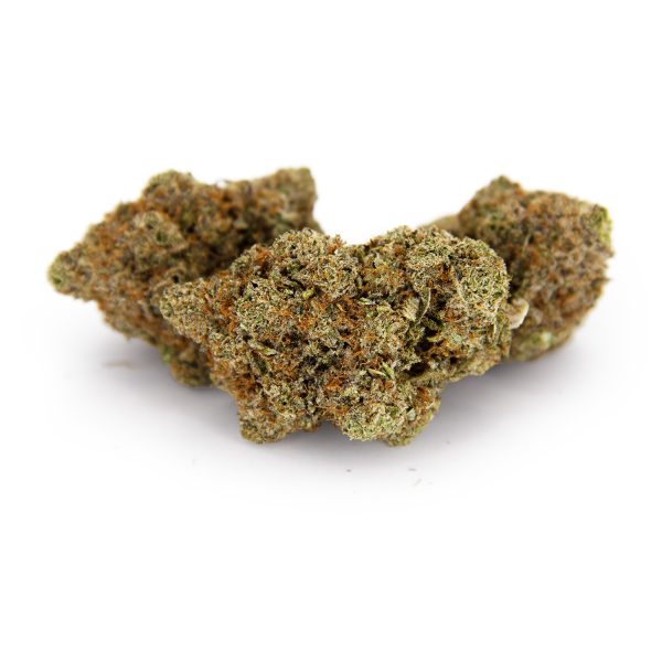 Grease Monkey AAA