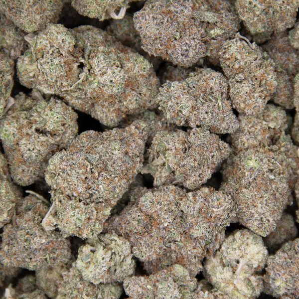 Grease Monkey AAA - Image 2
