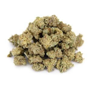 Sherbet (popcorn) AA