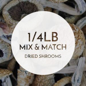 1/4 lb Mix and Match Dried Shrooms