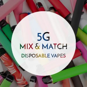 1G x 5 Mix and Match Disposable Vape Pen