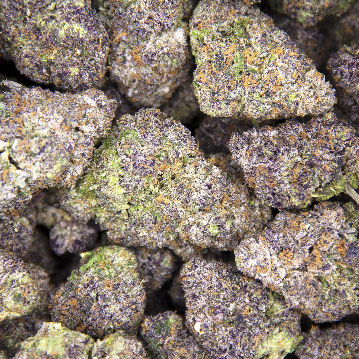 Cali Orange AAAA - Image 3