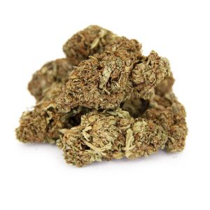 Dutch Treat AA-