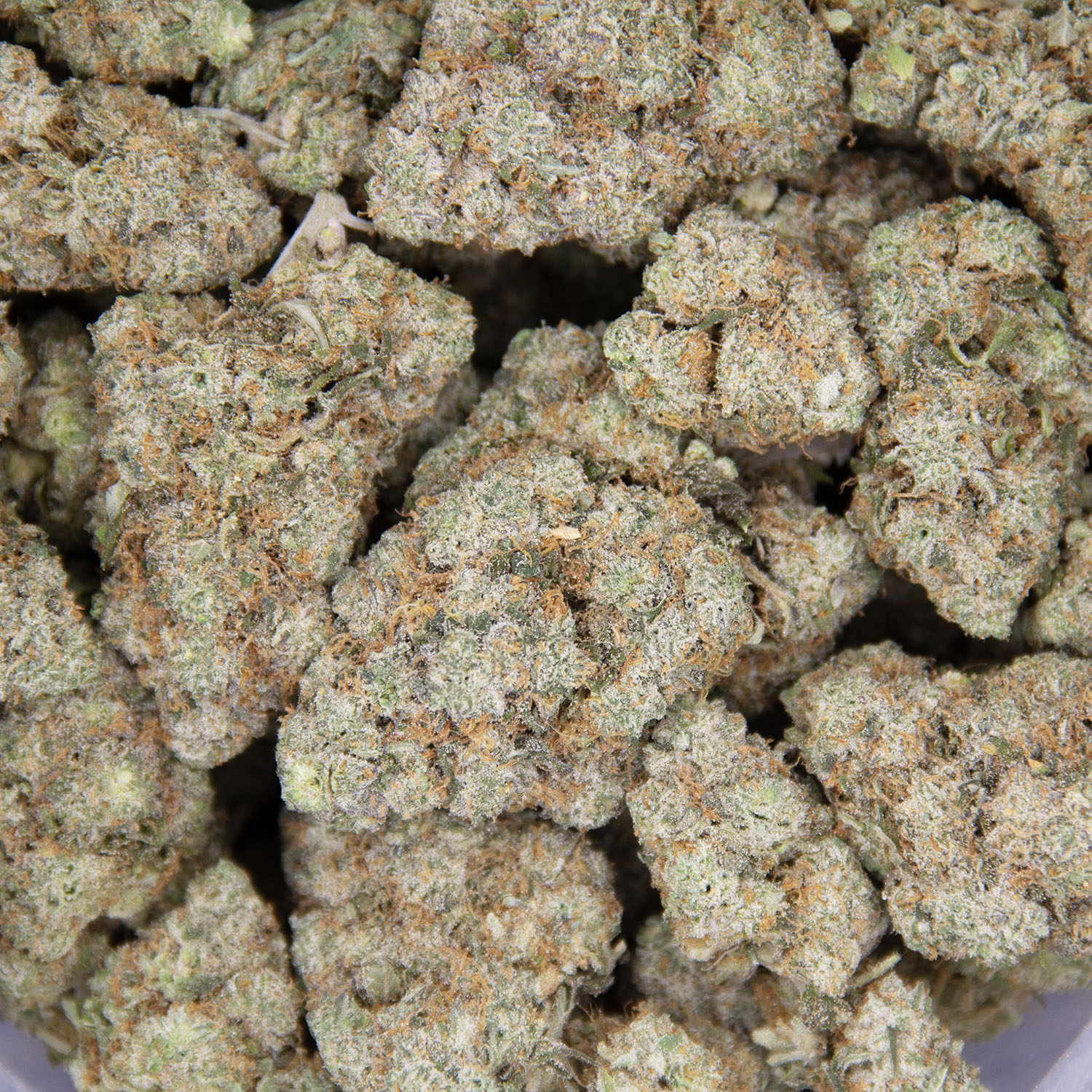 Mojito AAA - Image 3