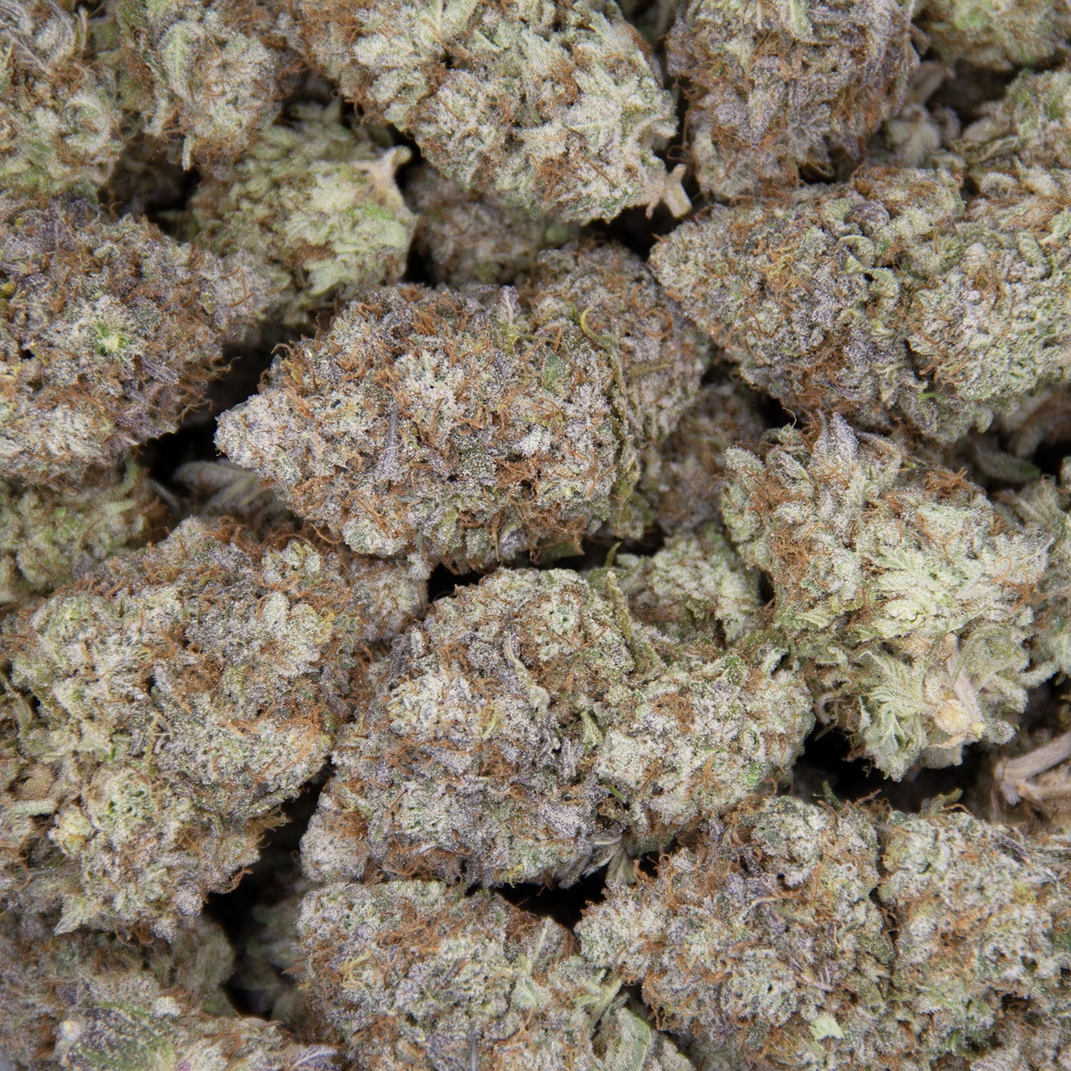 Blueberry Shortcake AAA - Image 2