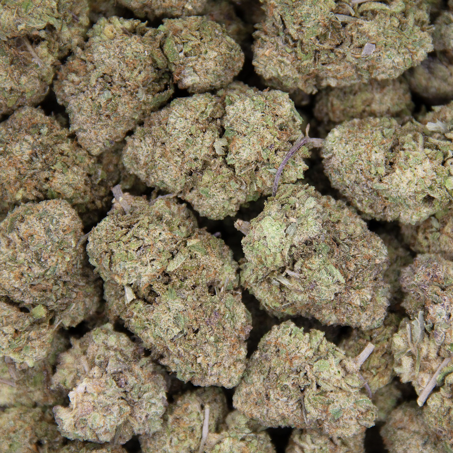 Donkey Butter AAA- - Image 3