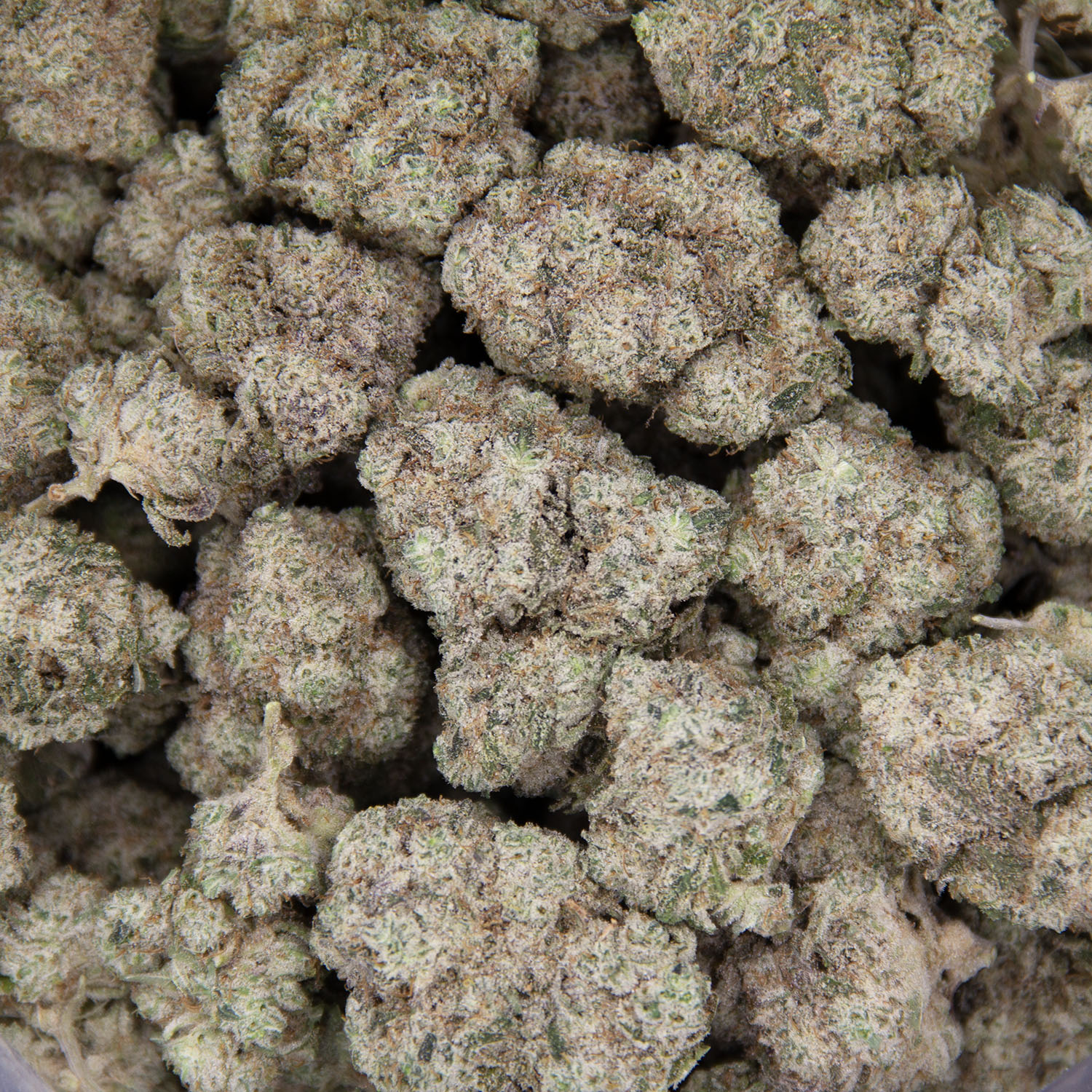 MAC V2 AAA - Image 3