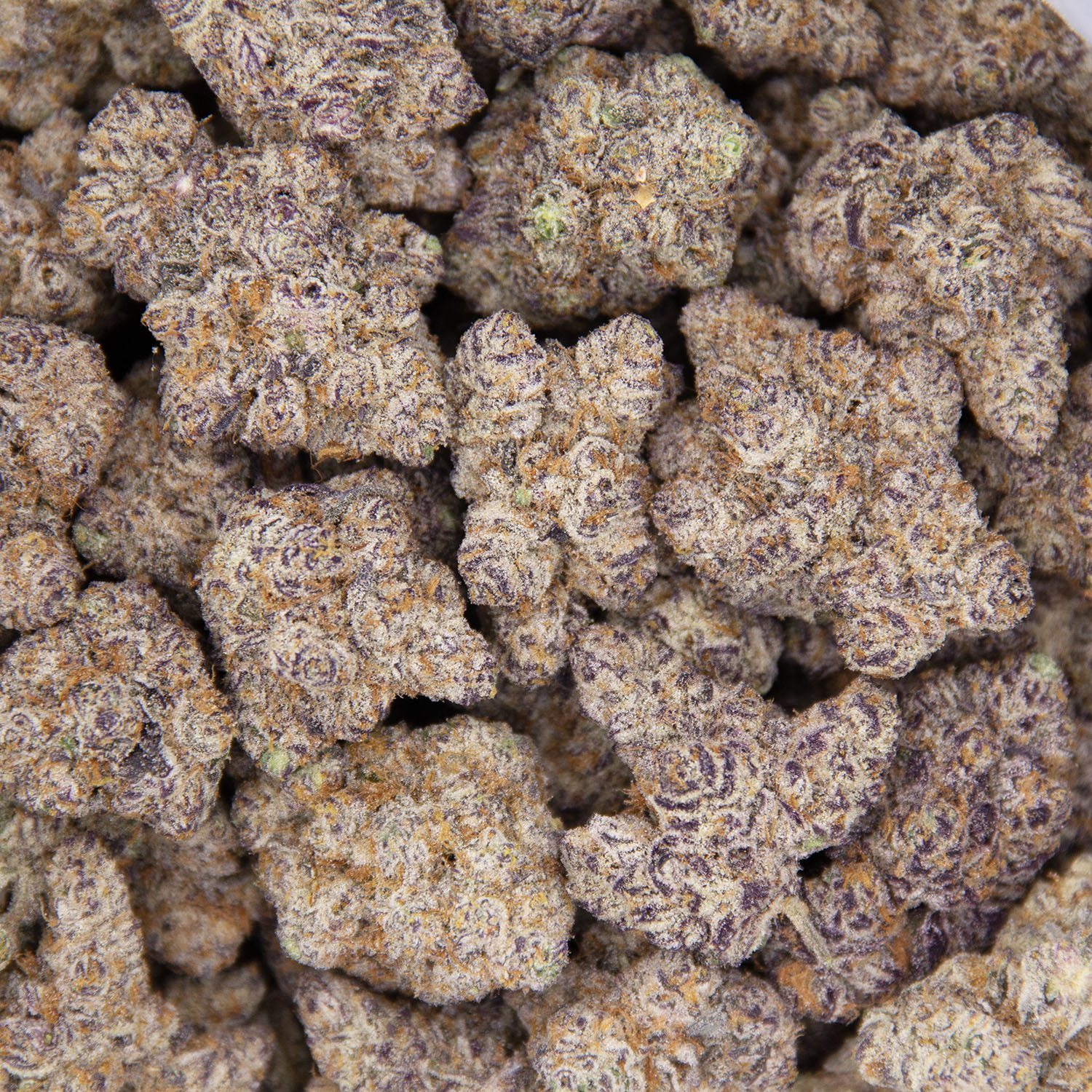 Candyland AAAA+ - Image 3