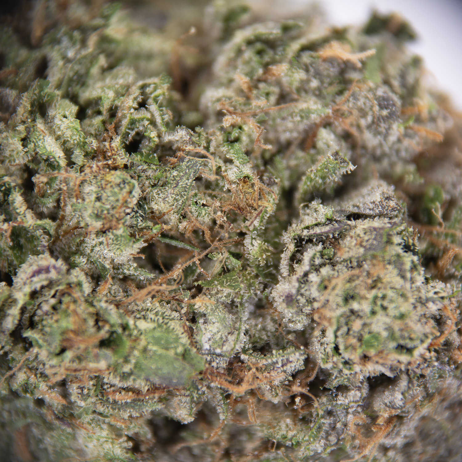 Death Bubba AAA - Image 2