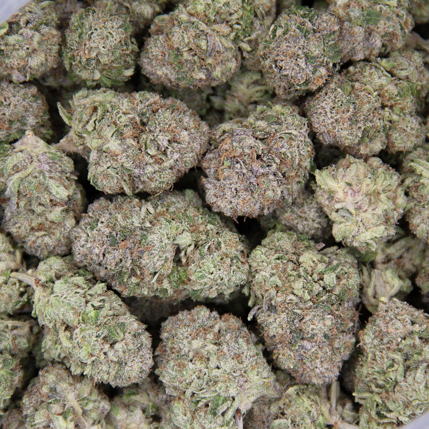 Death Bubba AAA - Image 3