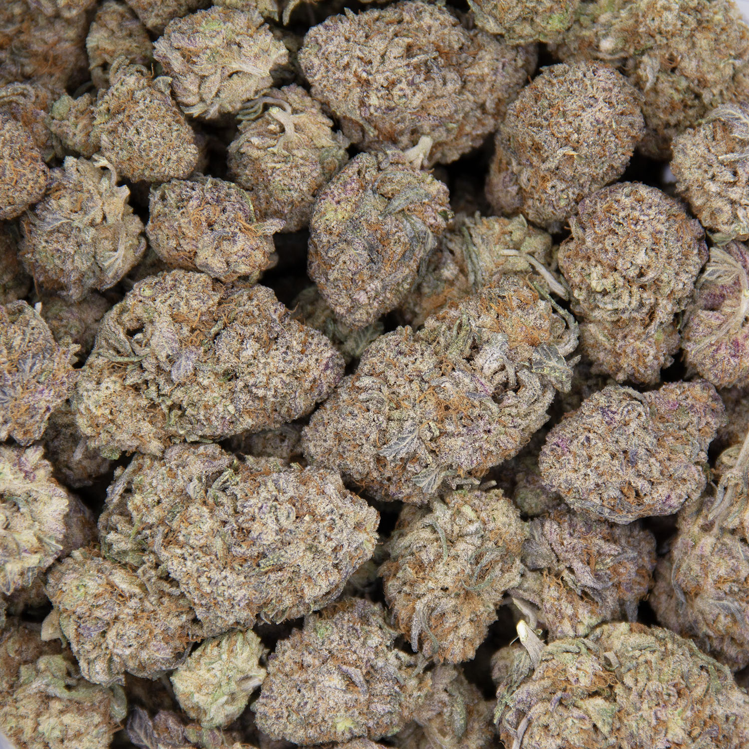 Gelato AAA- - Image 3