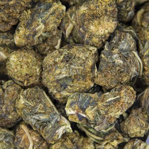 Grandmaster Kush AA BAG