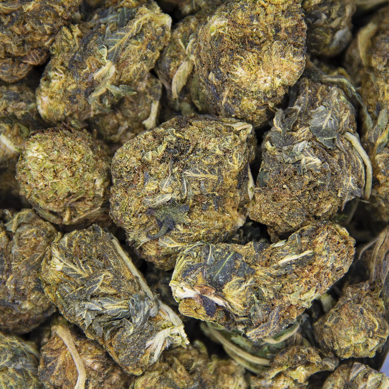 Grandmaster Kush AA BAG