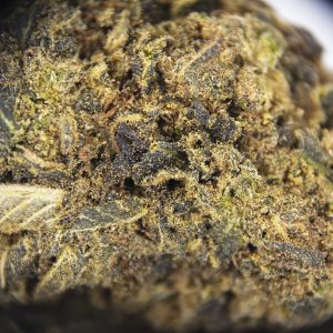 Grandmaster Kush AA ZOOM