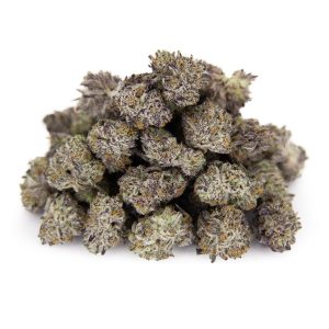 Platinum Gucci (smalls) AAAA