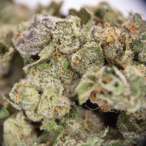 Point Break AA (1) copy