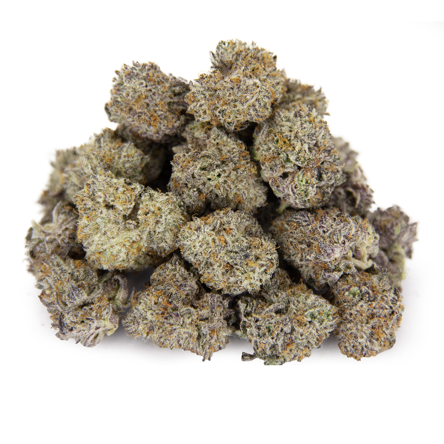 Snowcone (mediums) AAAA