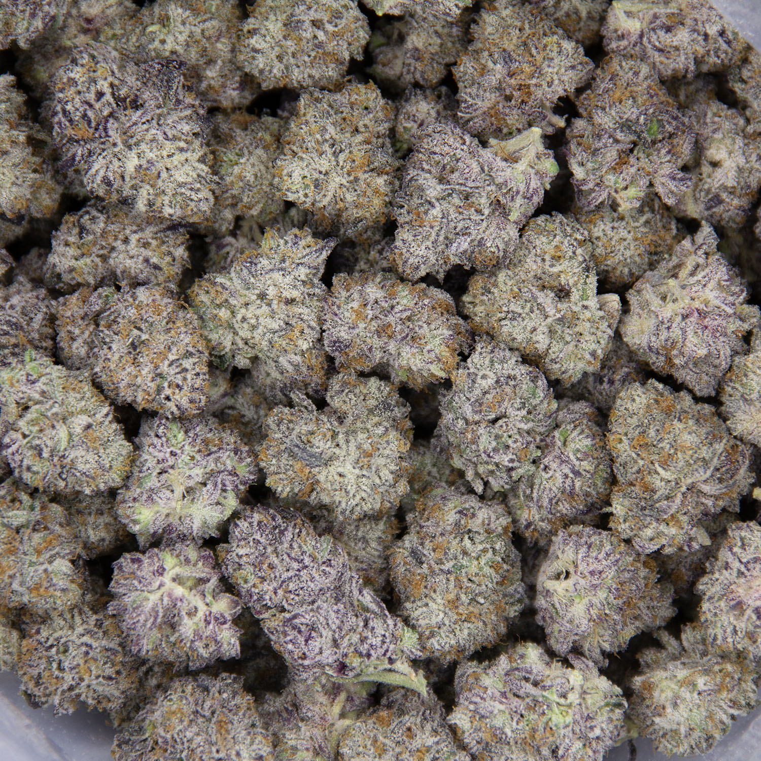 Snowcone (mediums) AAAA - Image 3