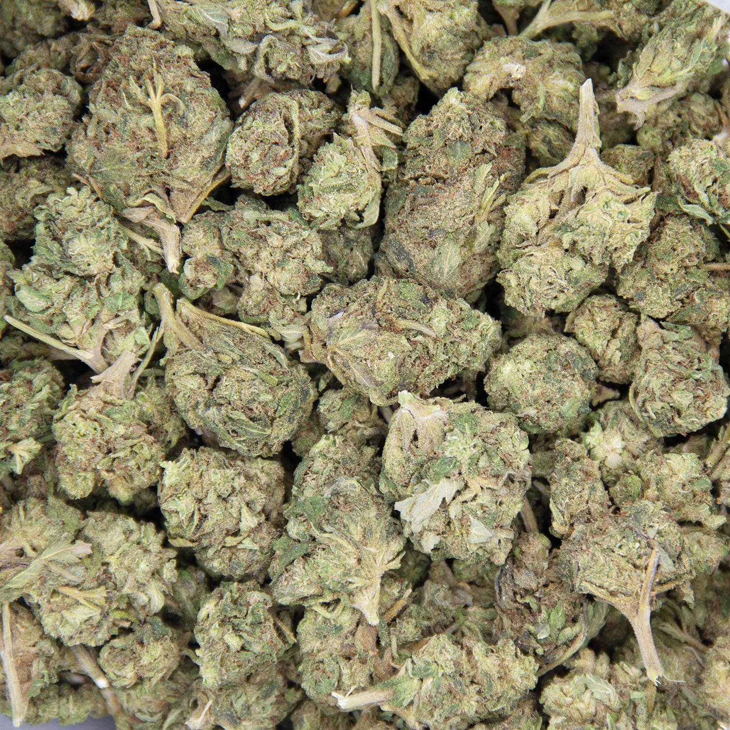 Deadhead OG (mediums) AA - Image 3