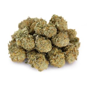 Kosher Kush (mediums) AA