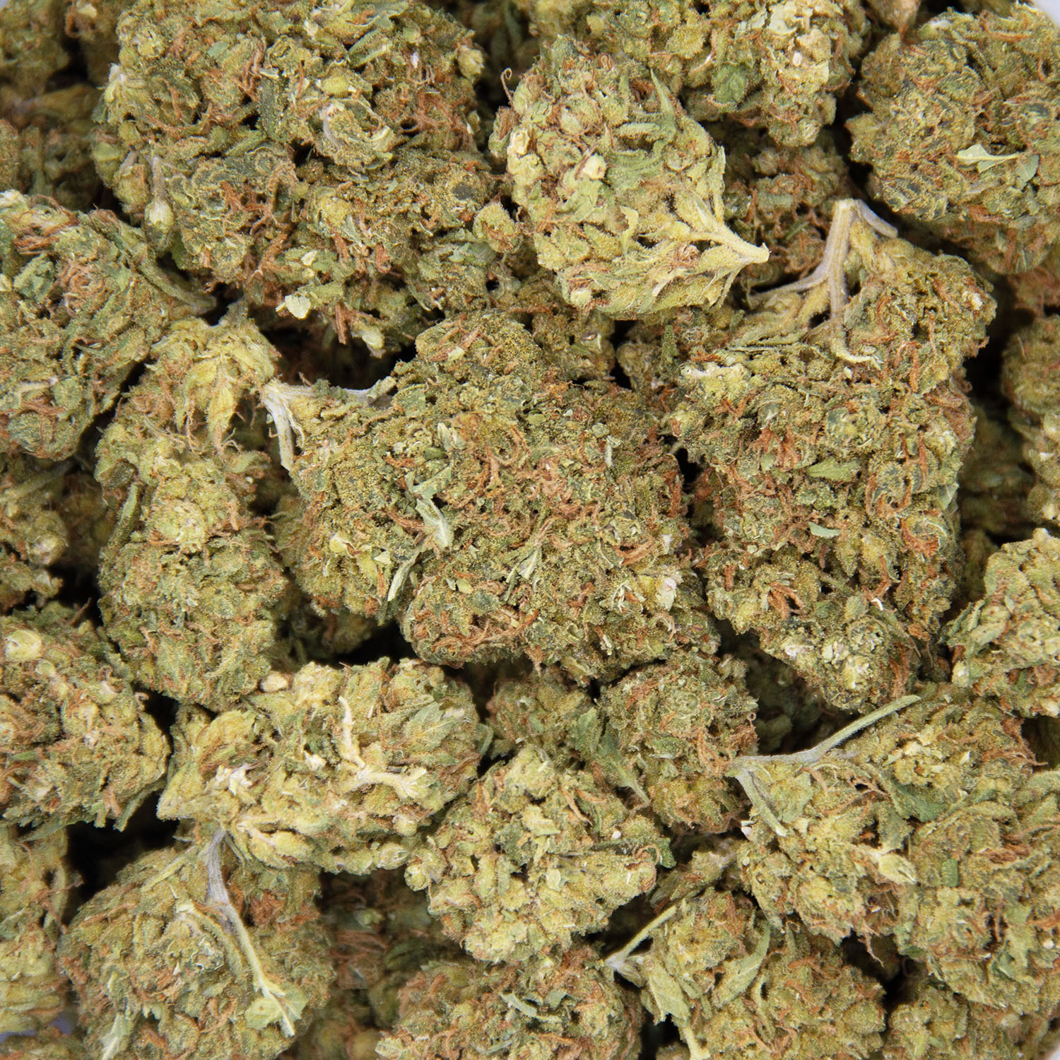 Amnesia AA - Image 3