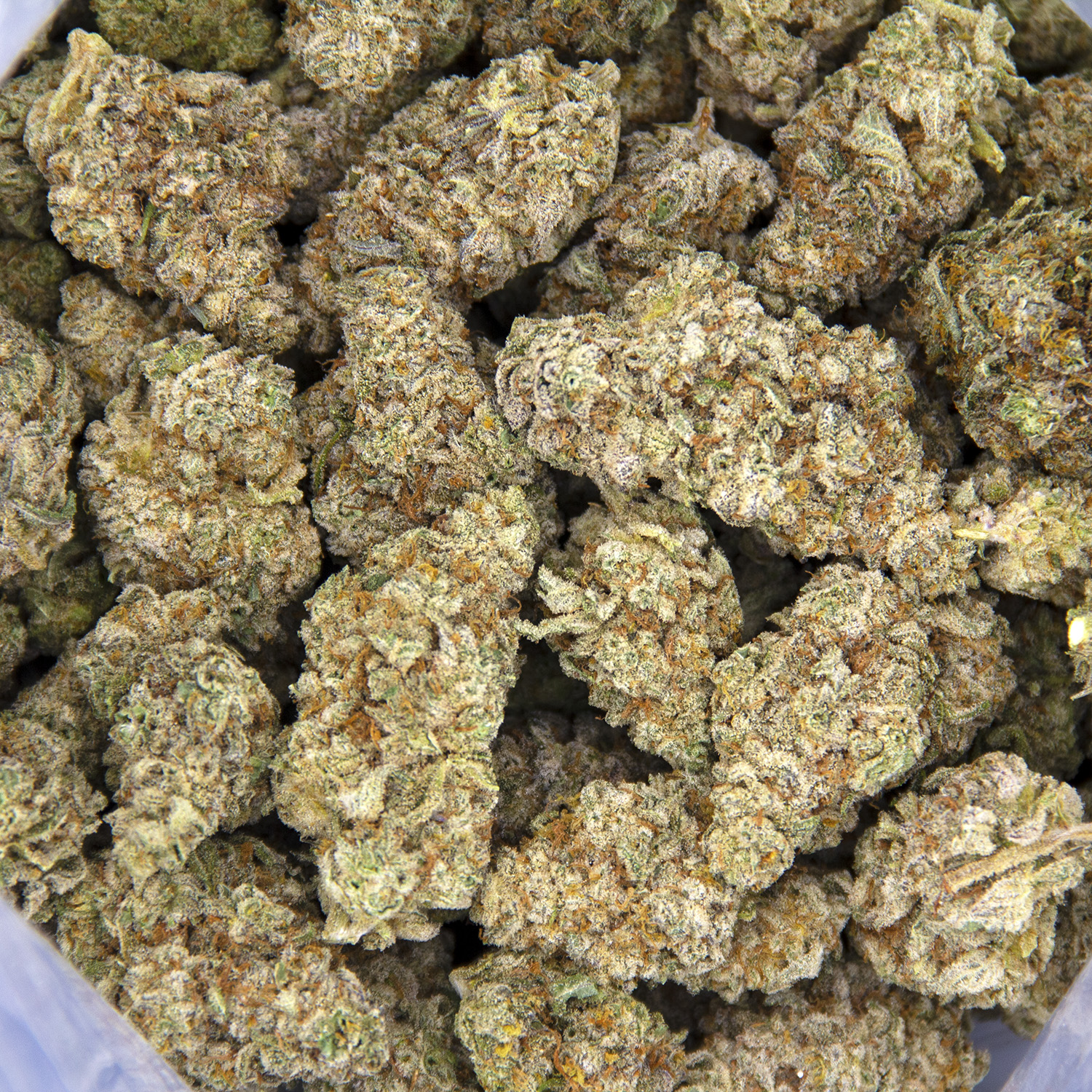 Blue Chem Snow AAA - Image 2