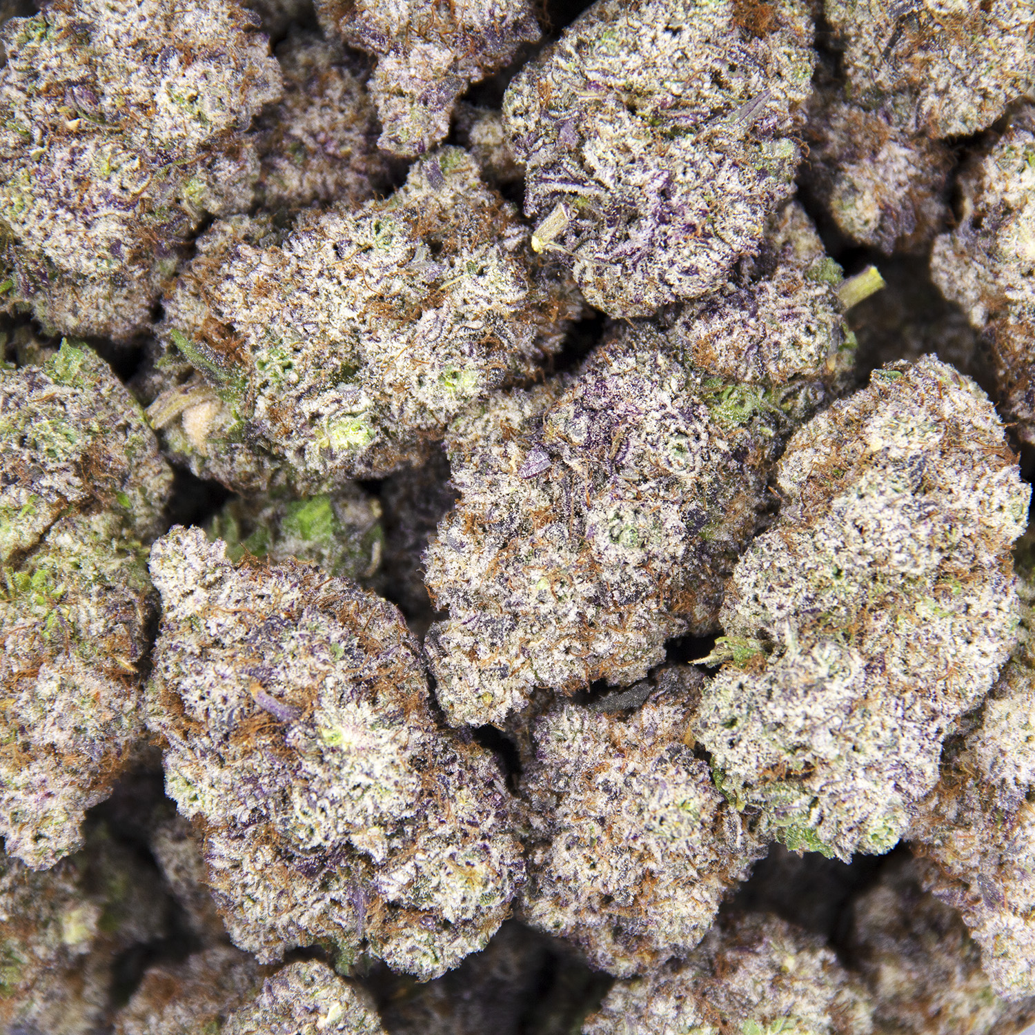 Cherry Blossom AAAA+ - Image 2