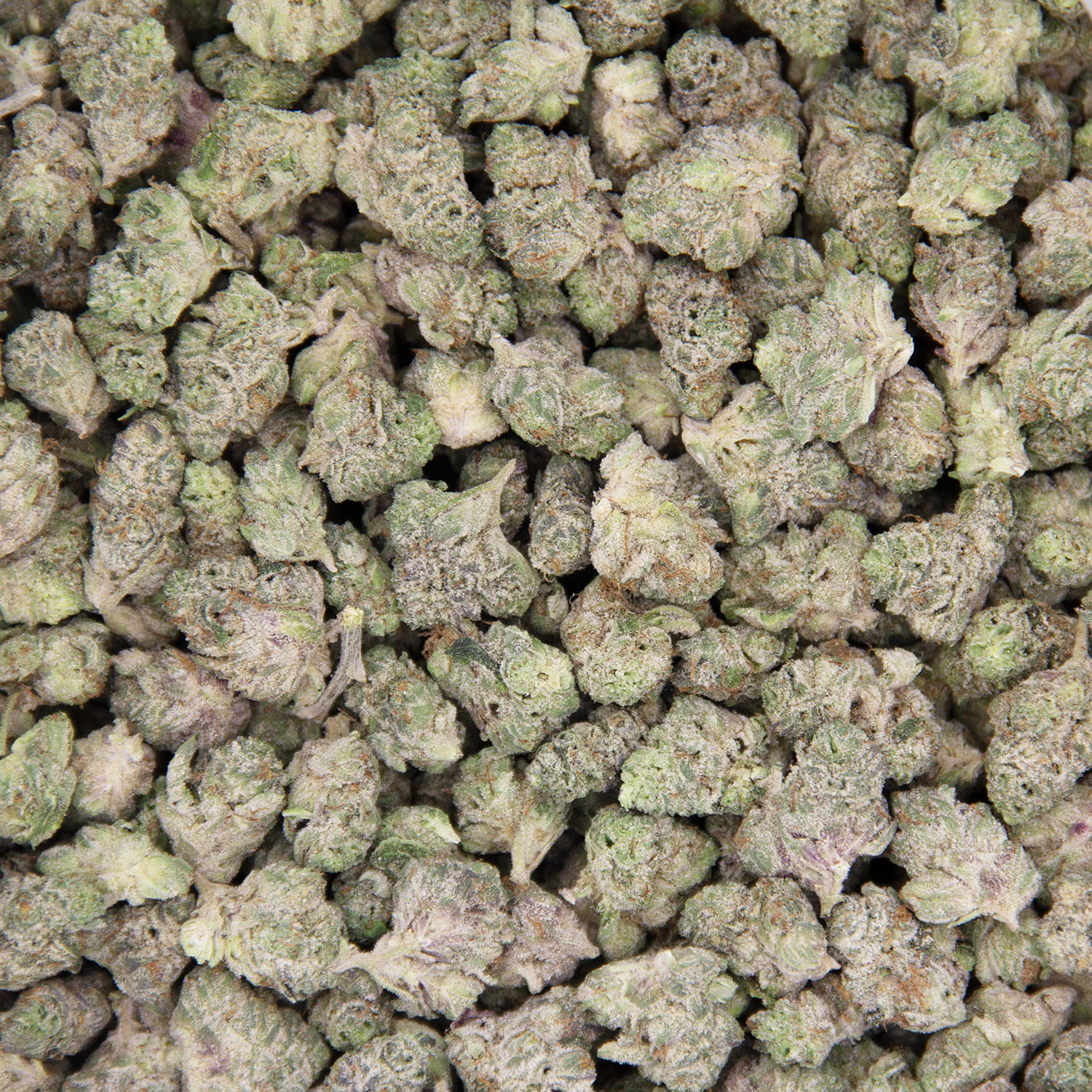 MKU (popcorn) AAA - Image 3