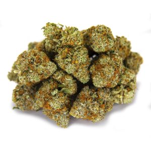 Scout Master (mediums) AAA