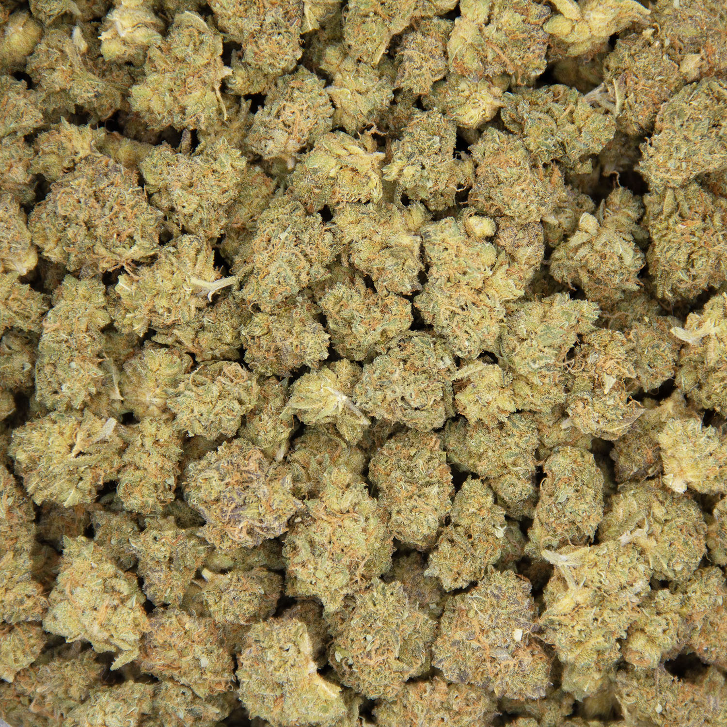 White Berry (smalls) AA - Image 3