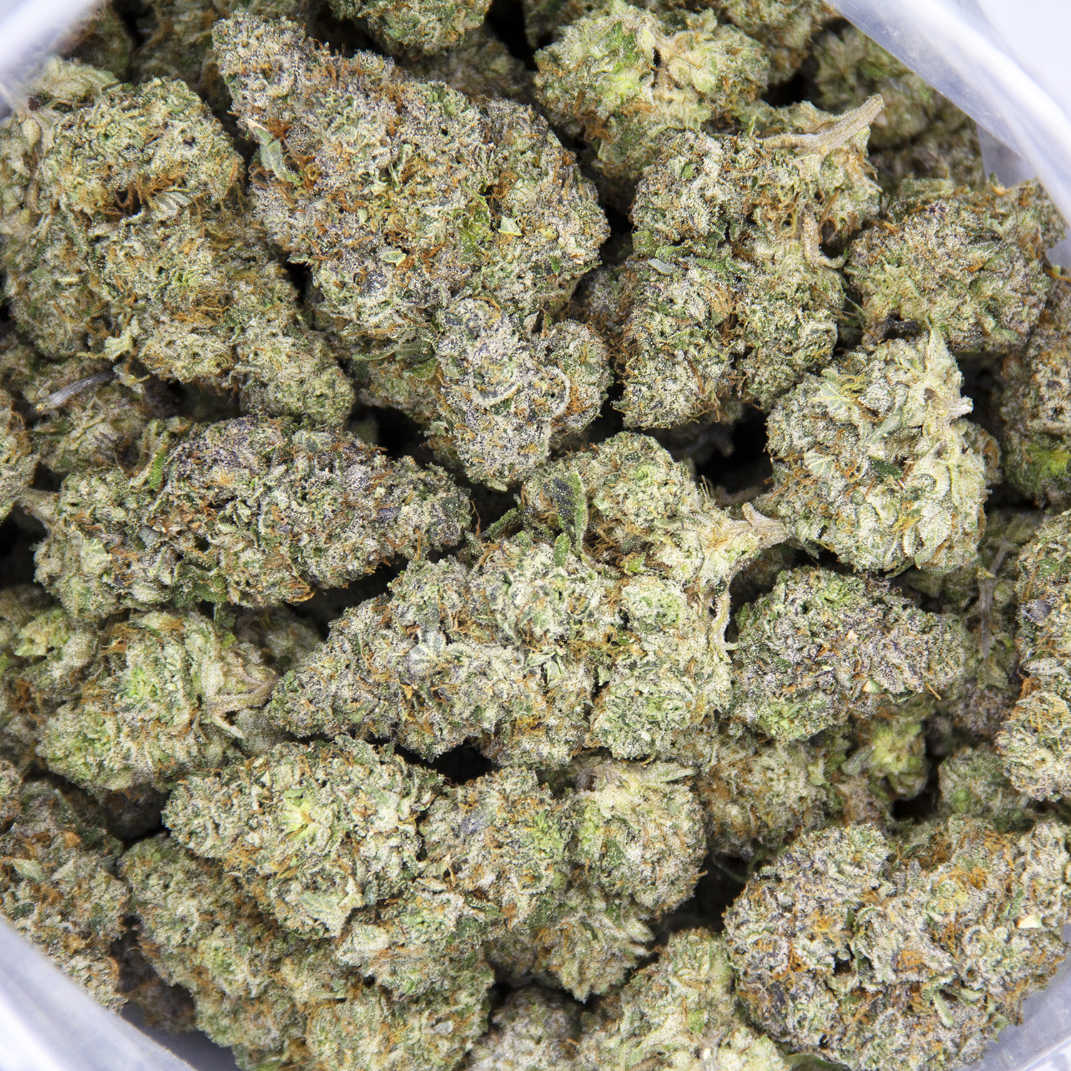 Chemdawg's Sister AAA - Image 3
