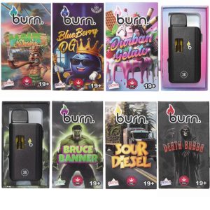 Burn Disposable - 3 Gram Vapes