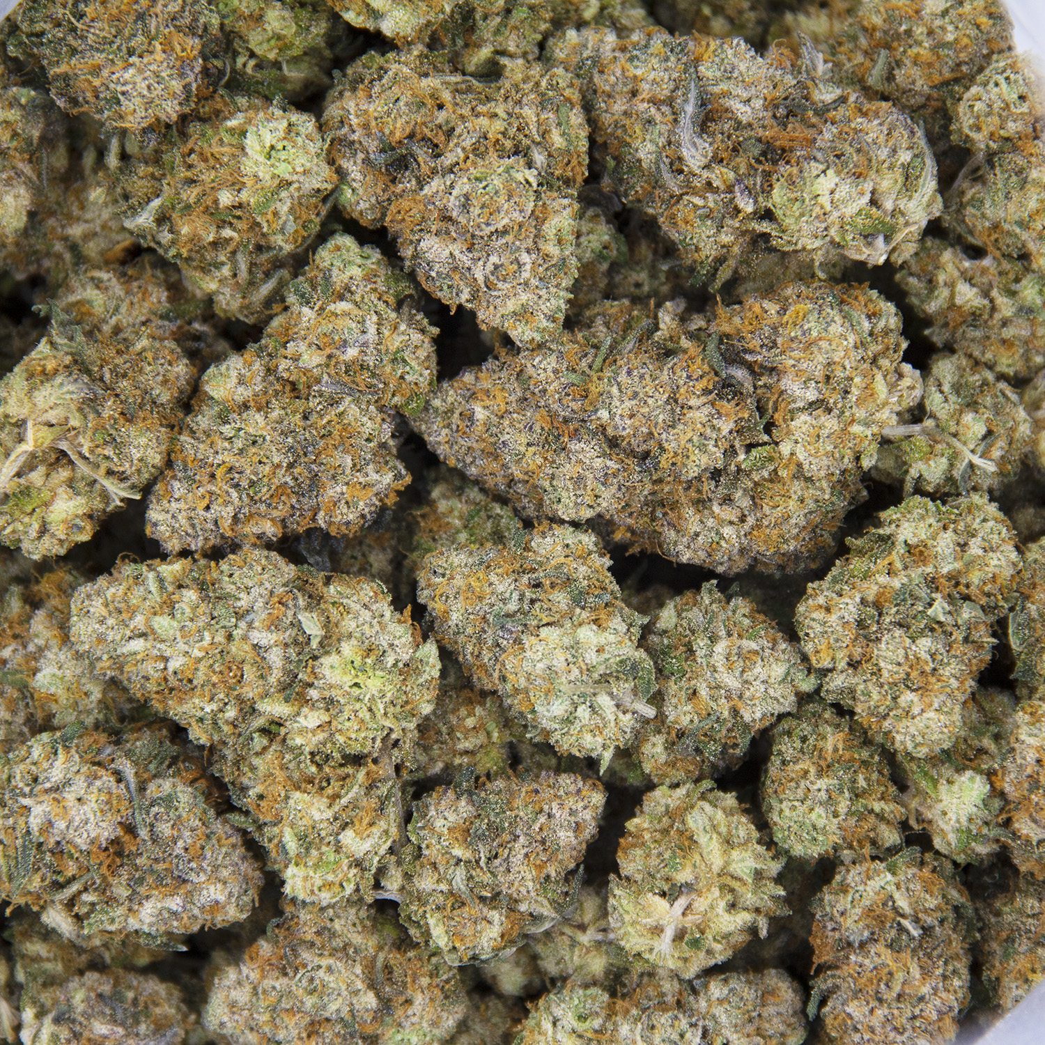 Candy Store AAA - Image 3