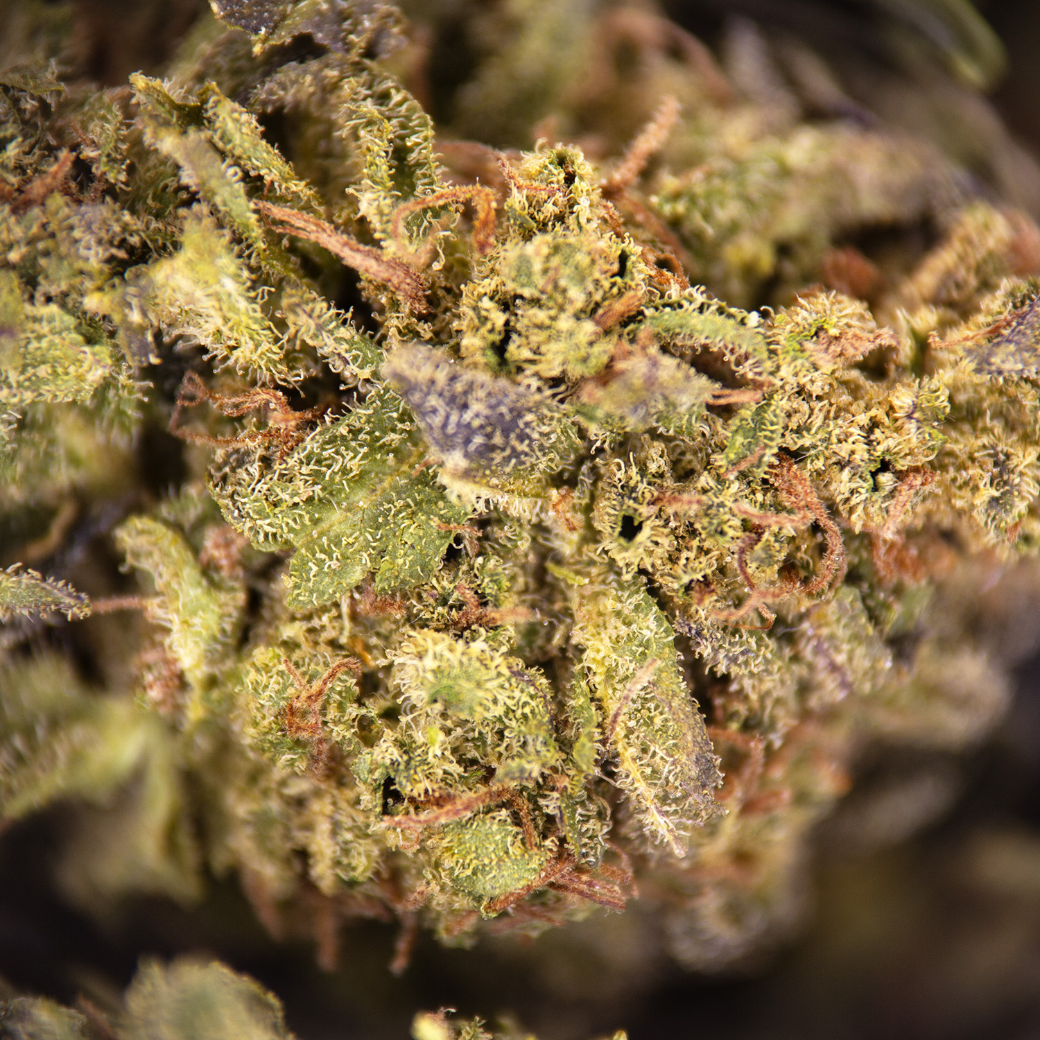 Fruity Pebbles AA- - Image 3