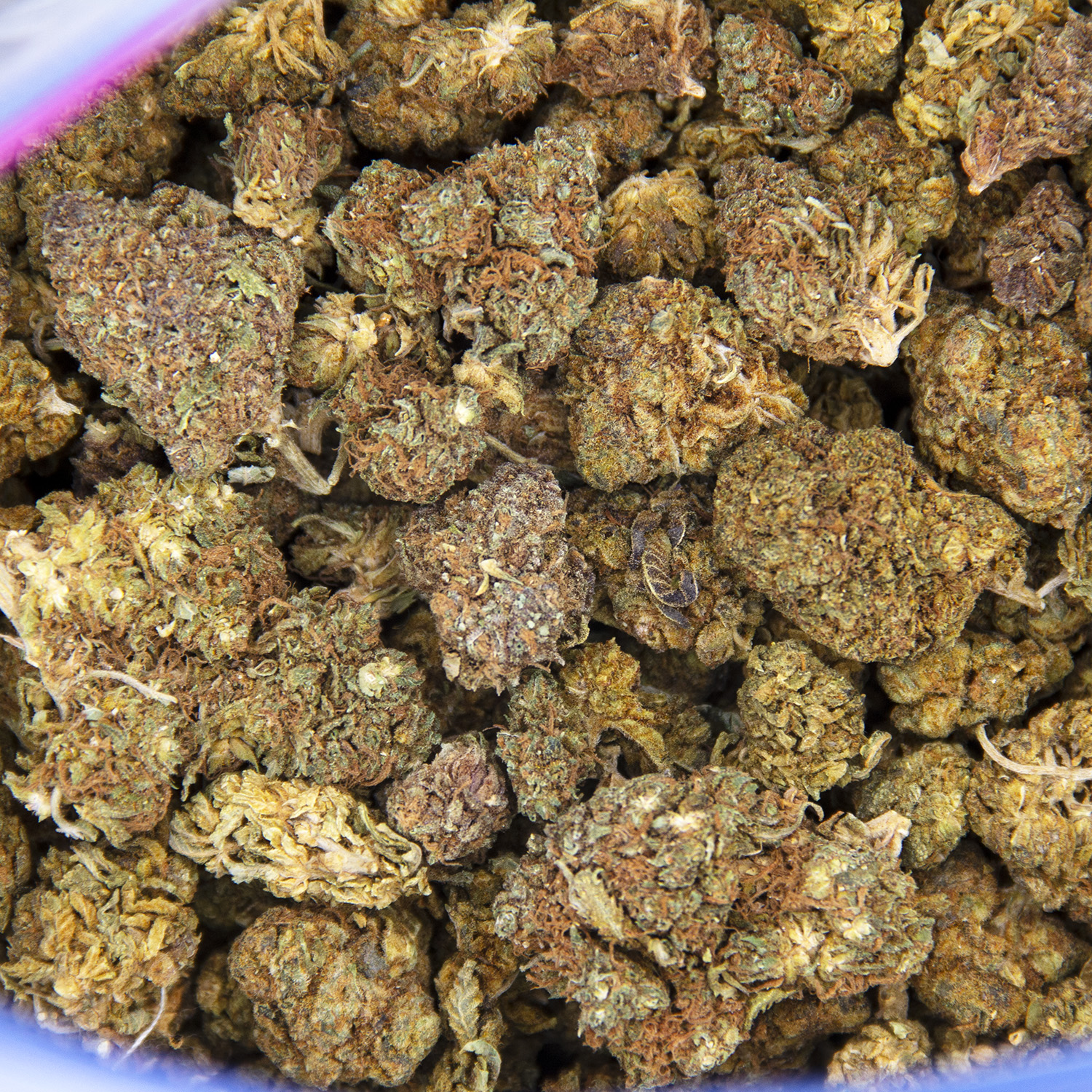 Old Indica A - Image 2